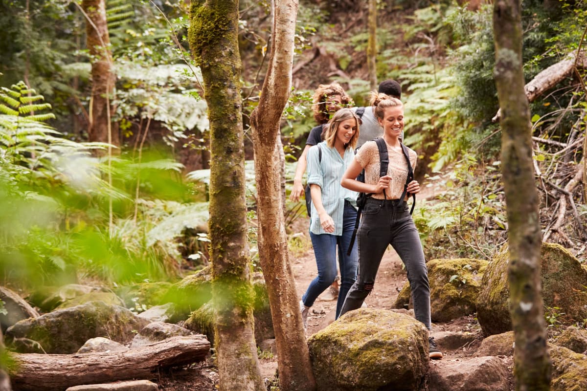 Forestry & Landcare